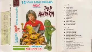 14 LAGU LAGU TERLARIS POP MANDARIN