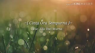 Cinta Ora sempurna by Ella Dwi Warna