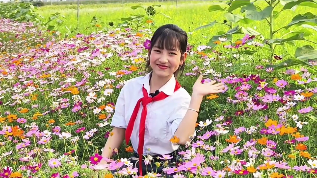 Minh Chau, the pearl in the heart of Ba Vi Ha Noi - 7C Team - Minh Chau Secondary School