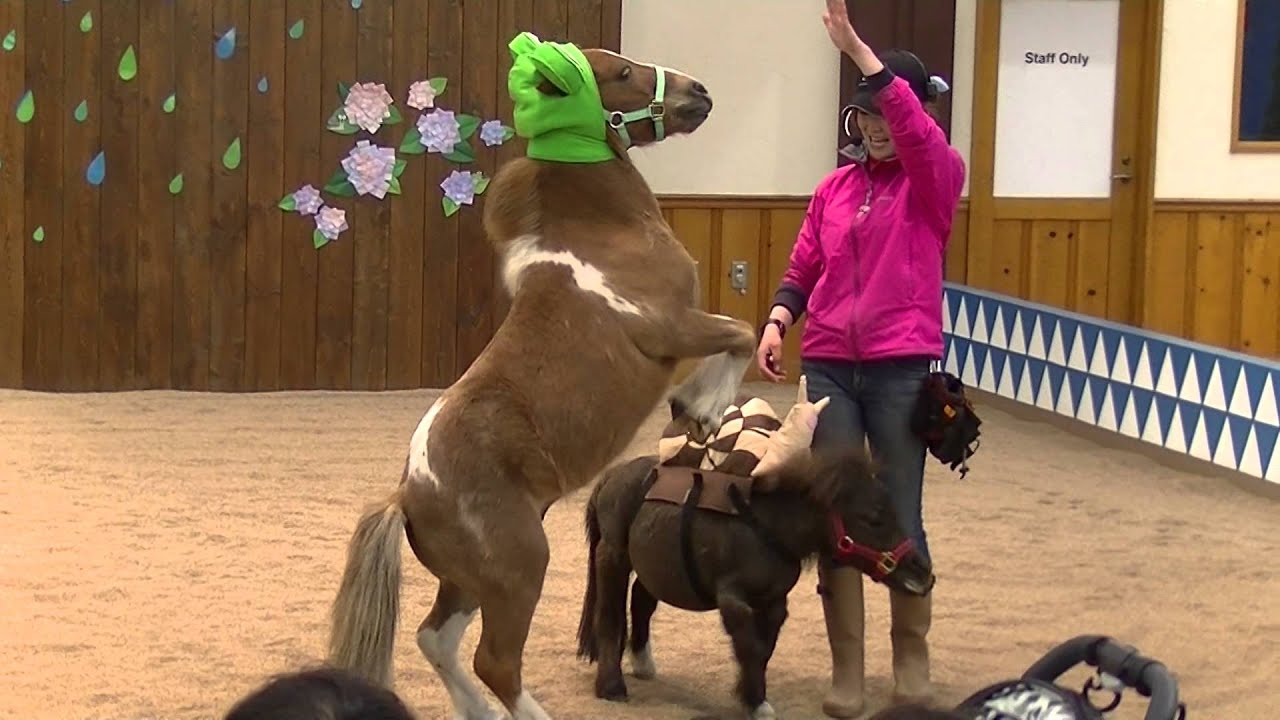 ♪ノーザンホースパーク☆ヤマちゃん＆サミーくんのポニーショー