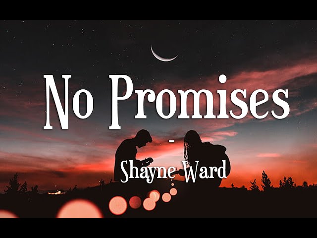 No Promises - Shayne Ward || Lyrics class=