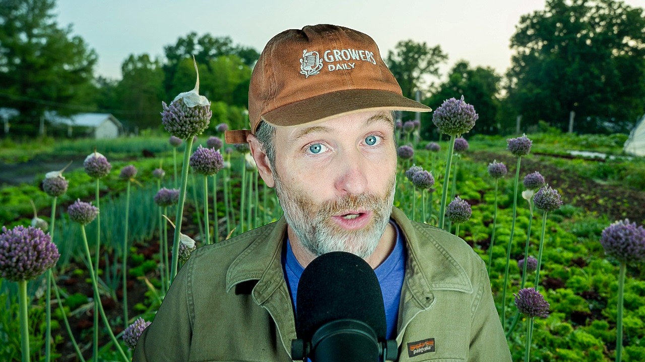 Can I Speed Up My Potatoes + Freshening Up the Air
