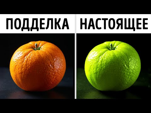 Видео: 101 малоизвестный факт, который сделает вас мастером викторины