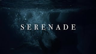 Rising Insane - Serenade (Official Video)