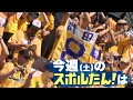 スポルたん!RISE 2026年5月16日(土)O.A予告