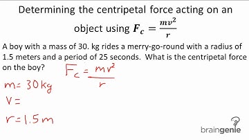 Physics: Determining the centripetal force acting on an object using