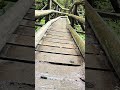 #music #fypシ゚viral #nature