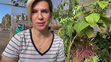 ACIM LESSON 1: Nothing I see means anything