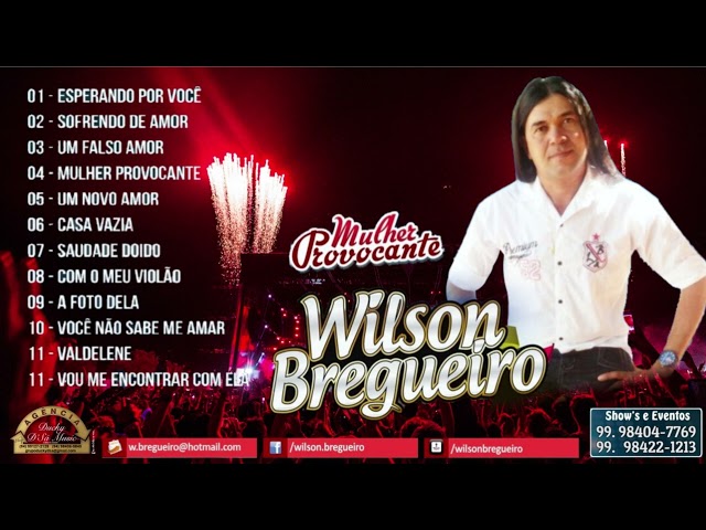 Wilson Bregueiro O Rei do Brega | Vol 03 [CD Completo - Mulher Provocante] class=