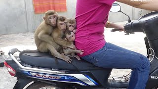 Four Little Donal Molly Zuji & Cici Ride Motorbike & Playing Outside With Mom