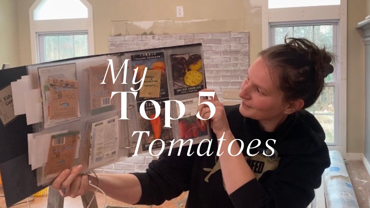 Топ-5 сортов помидоров, которые я выращиваю каждый год (плюс 5 новых сортов в этом году!)