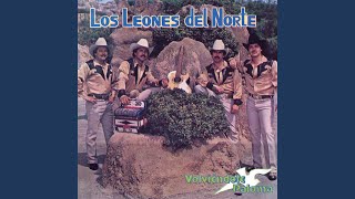 Video thumbnail of "Los Leones Del Norte - El Amor Bonito"