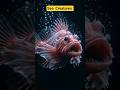 Sea Creatures #short #viralvideo #video #viral #youtubeshorts #wildlife #naturefacts