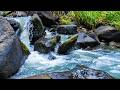 Chilly Mountain Water Cascade 🛌 Heavy Sound of Water to Block Distractions