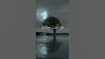 استغفر الله العظيم واتوب اليه. القارئ #ياسر_الدوسري ،سورة آل عمران. #القرآن #القرآن_الكريم #quran