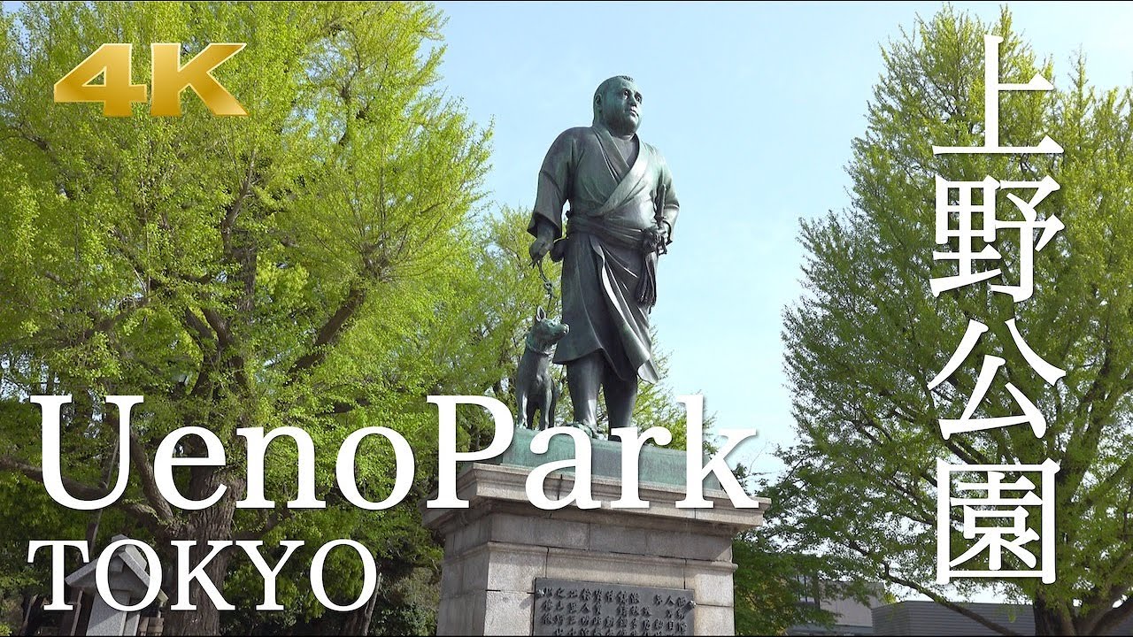 [Tokyo Walk] Ueno Station to Ueno Park Walking Tour - 4K 👀✨