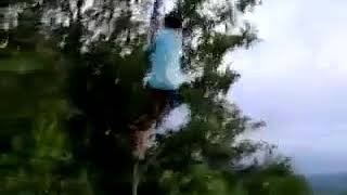 Trabzonlunun Ağaçtan Düşmesi Bişe Oldimi Ganki Bu Video Patlar