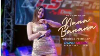 DINDING PEMISAH  - NANA BANANA - WLS PRO MUSIC || LIVE SUKOLILO PATI