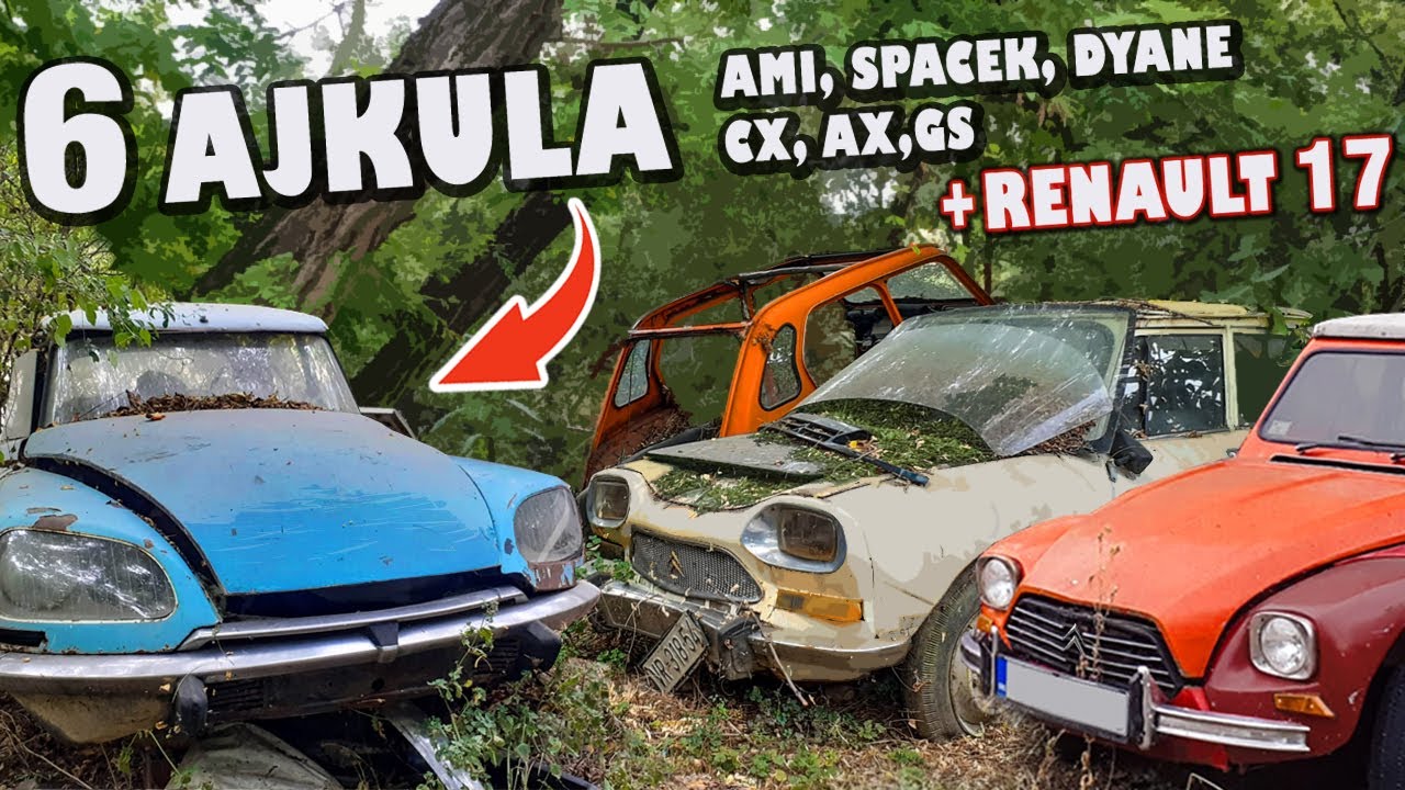 PLAC SA PREKO 60 STARIH CITROENA, a i drugih interesantnih OLDTAJMERA