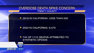 Trinity County Sheriff's Office sounding alarm about spike in fentanyl-related overdose deaths