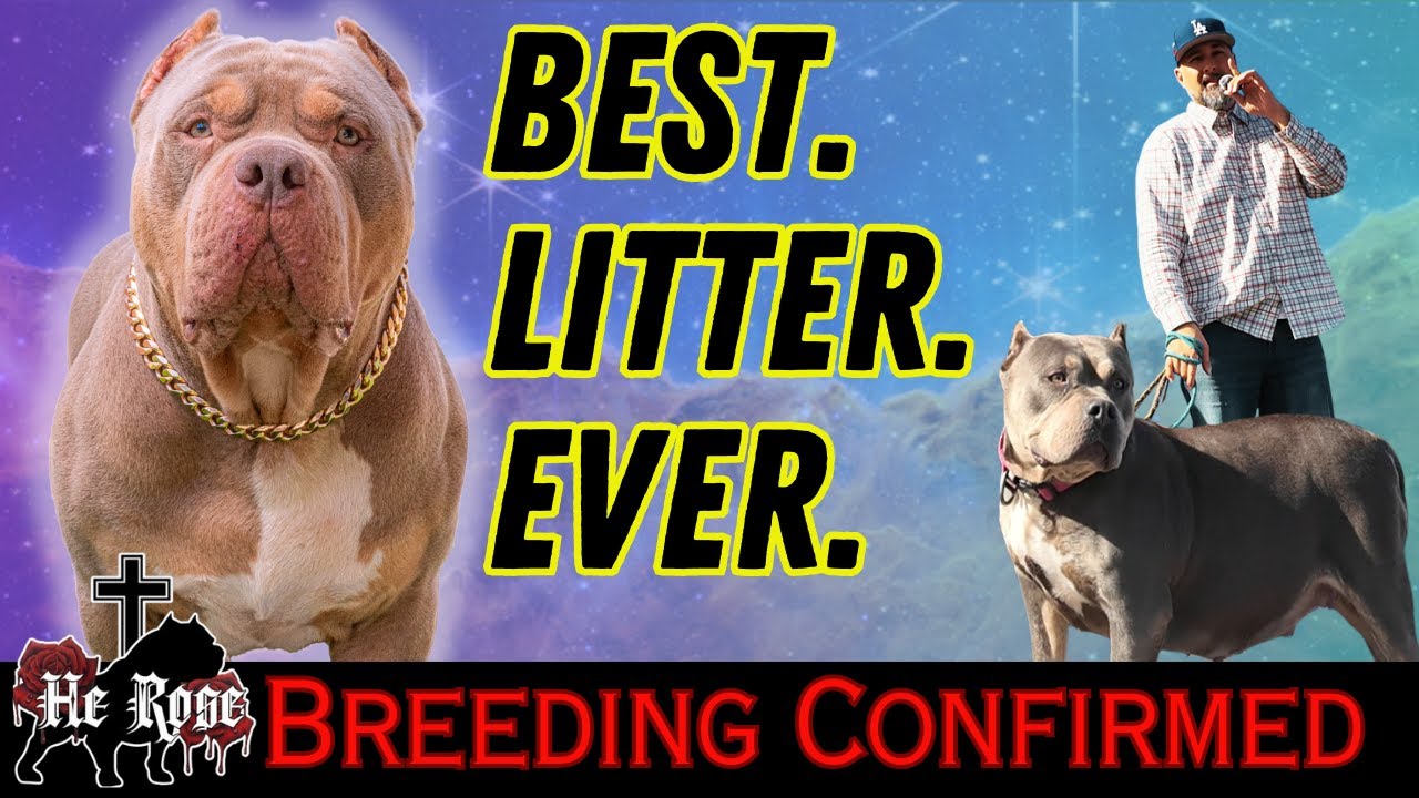 На это ушли годы!!!