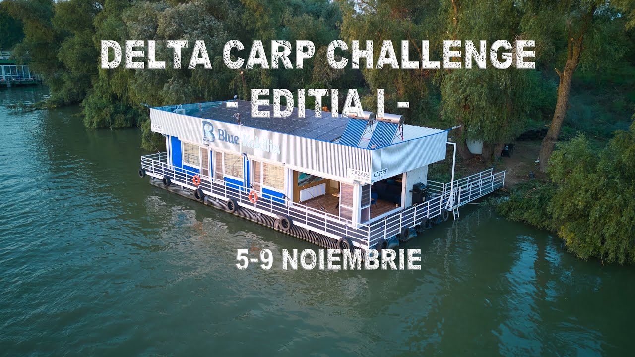 Delta Carp Challenge - Blue Kokilia - Editia I