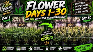 First 30 Days of FLOWER 🌸 | Our 4x8 Grow Tent Transformation! | Kush & Beans Season 2