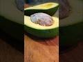 Satisfying Healthy Salad ASMR 🥑✨ #shorts #avocado #saladrecipe