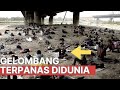 7 Gelombang Panas Mengerikan Di Dunia