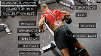 BEST SCIENCE-BASED WORKOUT ROUTINES - YouTube