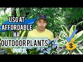 MGA USO AT AFFORDABLE NA OUTDOOR PLANTS | PART 2