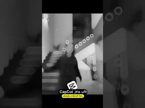 قالب كاب كات  ترند تيك توك دانس
