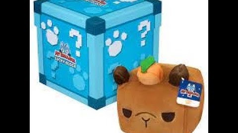 I UNBOX THE BRAND NEW LUCKY BLOCK MERCH IN PET SIM X!