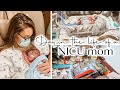 DAY IN THE LIFE OF A NICU MOM | 28 WEEK PREMATURE NEWBORN - OUR NICU JOURNEY | Lauren Midgley