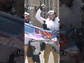 "Make seagulls sexy again" - The sixth annual European Seagull Screeching European Championship