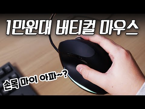 손목 아파서 사긴 했는데.. | 다얼유 LM121 RGB 버티컬 마우스