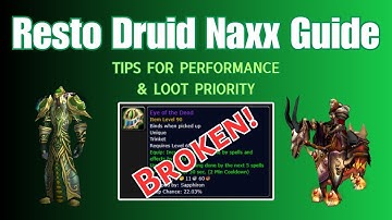 Resto Druid Phase 6 Naxxramas PvE Handbook - Tips for Performance and Loot Priority