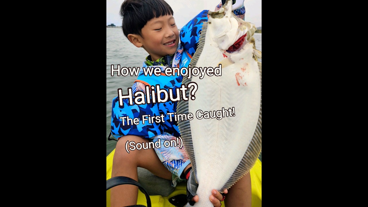 My First Time Catch and Sashimi - California Halibut.