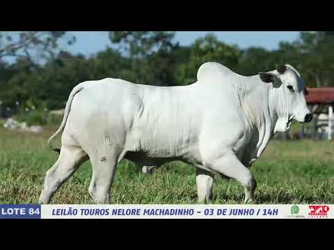 LOTE 84   DIM 6437 1 MP4