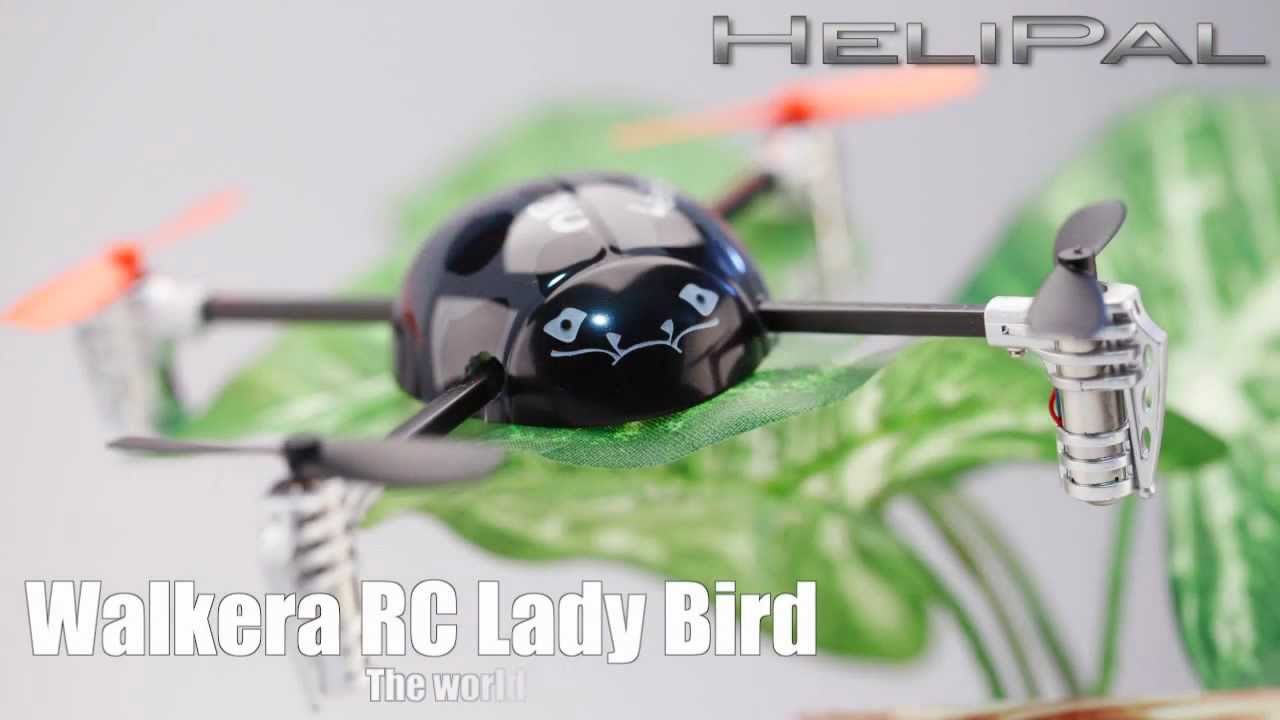 HeliPal.com - Walkera Ladybird Test Flight