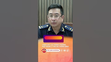 CẢNG CÁT LÁI THÔNG THOÁNG NHỜ QUẢN LÝ RỦI RO THÔNG MINH