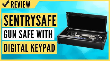 SentrySafe QAP2E Gun Safe with Digital Keypad Two Handgun Capacity Review