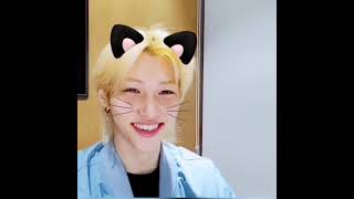 Cutie Kitty Felix 😺 |Stray Kids