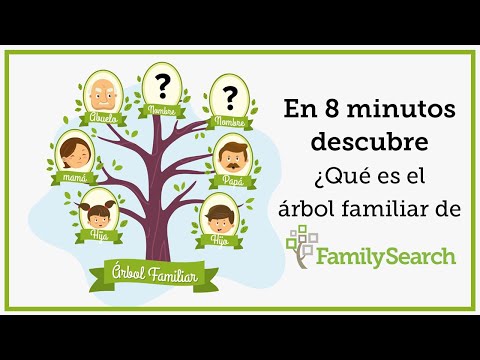 Conectando con nuestras raíces: Cómo hacer un árbol genealógico en