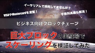 藤原教授が解説！　ビットコインSVの巨大ブロック実験場