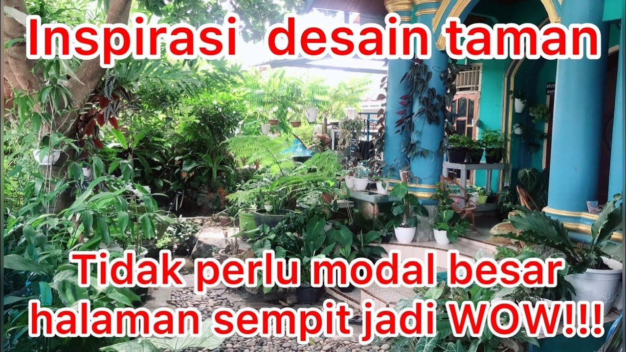 Desain taman rumah seperti hutan PART II