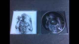 Mendacity - Disturbance