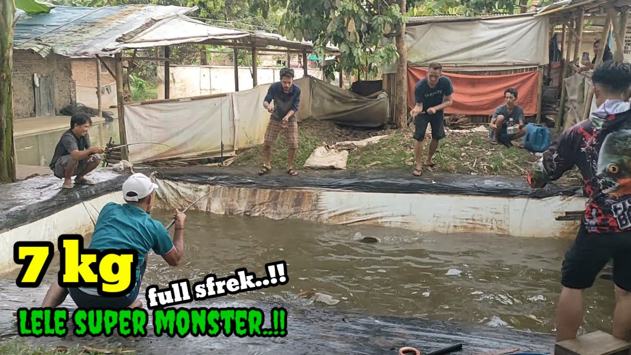 BENER BENER KWALAHAN.‼️ Mancing lele super monster.⁉️part#2