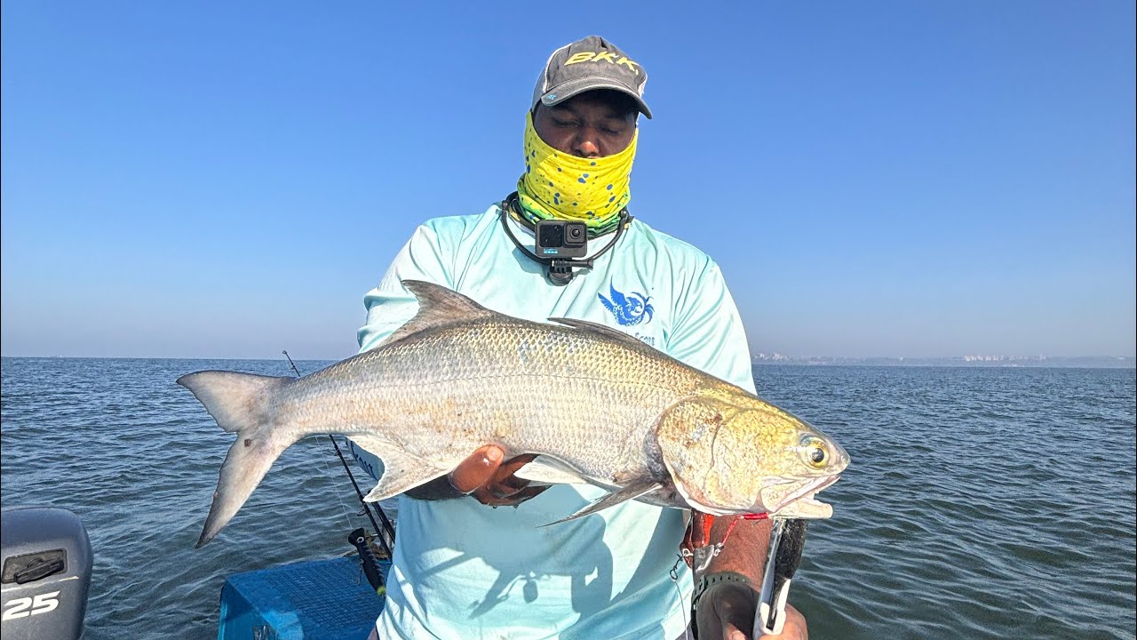 Thread Fin Fish Goa Catching big GT, barracuda and threadfin salmon in Goa/India - YouTube