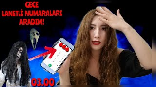 Gece 3'te *LANETLİ* Numaraları Aradım| Asla Aramamanız Gereken Numaralar| (Korku Serisi) |Nur Özkurt